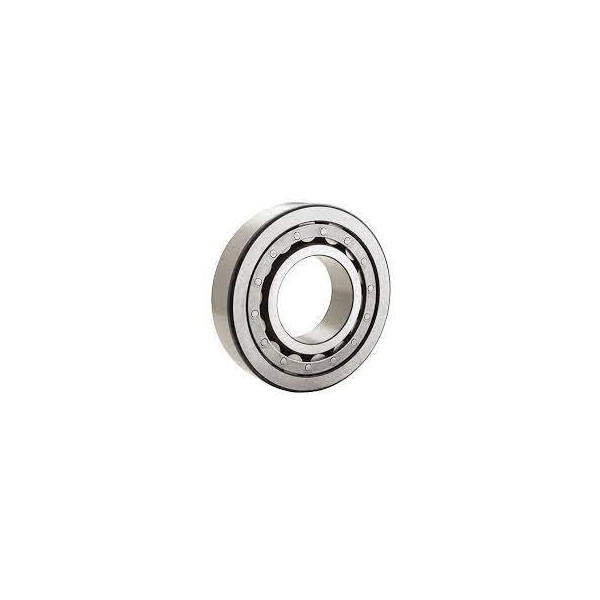 Cylindrical Roller Bearings